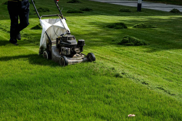 Transforming Lawn Care With Autonomous Precision